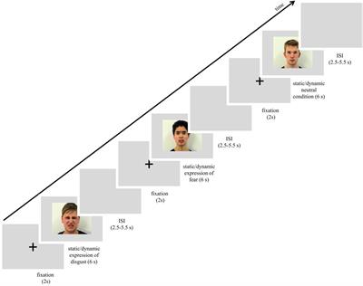 Empathy in Facial Mimicry of Fear and Disgust: Simultaneous EMG-fMRI Recordings During Observation of Static and Dynamic Facial Expressions